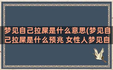 梦见自己拉屎是什么意思(梦见自己拉屎是什么预兆 女性人梦见自己拉屎)